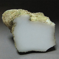 Кахолонг